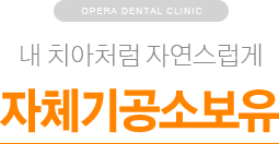 내 치아처럼 자연스럽게 / 자체기공소보유