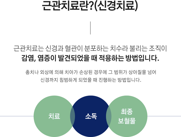 관치료란?(신경치료)
근관치료는 신경과 혈관이 분포하는 치수라 불리는 조직이 감염, 염증이 발견되었을 때 적용하는 방법입니다.
충치나 외상에 의해 치아가 손상된 경우에 그 범위가 상아질을 넘어 신경까지 침범하게 되었을 때 진행하는 방법입니다.