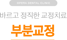 바르고 정직한 교정치료 / 부분교정